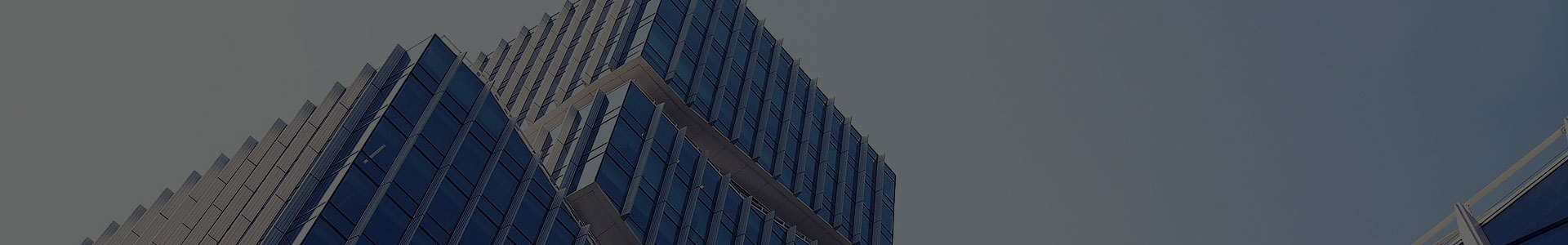 Jiaxing Xuanyi Uluslararası Ticaret A.Ş., Ltd