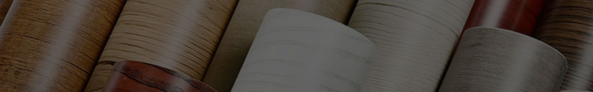 Jiaxing Xuanyi Uluslararası Ticaret A.Ş., Ltd